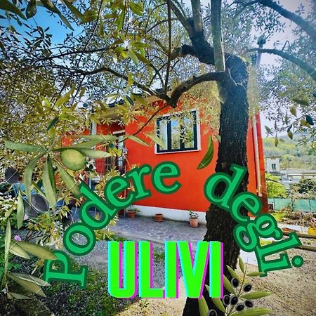 Podere Degli Ulivi Family Villa เซอราวาเลพิสโตเยเซ ภายนอก รูปภาพ